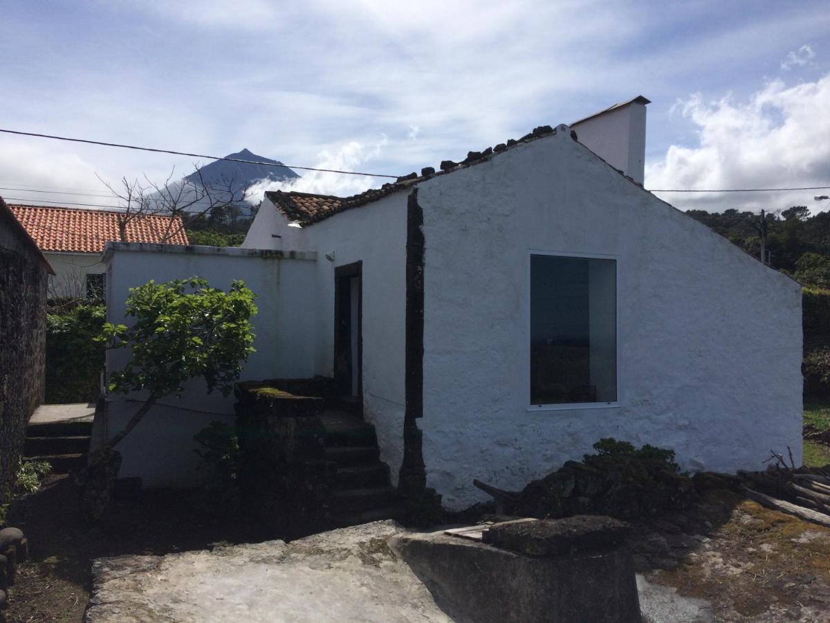Casa Do Castanheiro Villa Santo Antonio  Ngoại thất bức ảnh